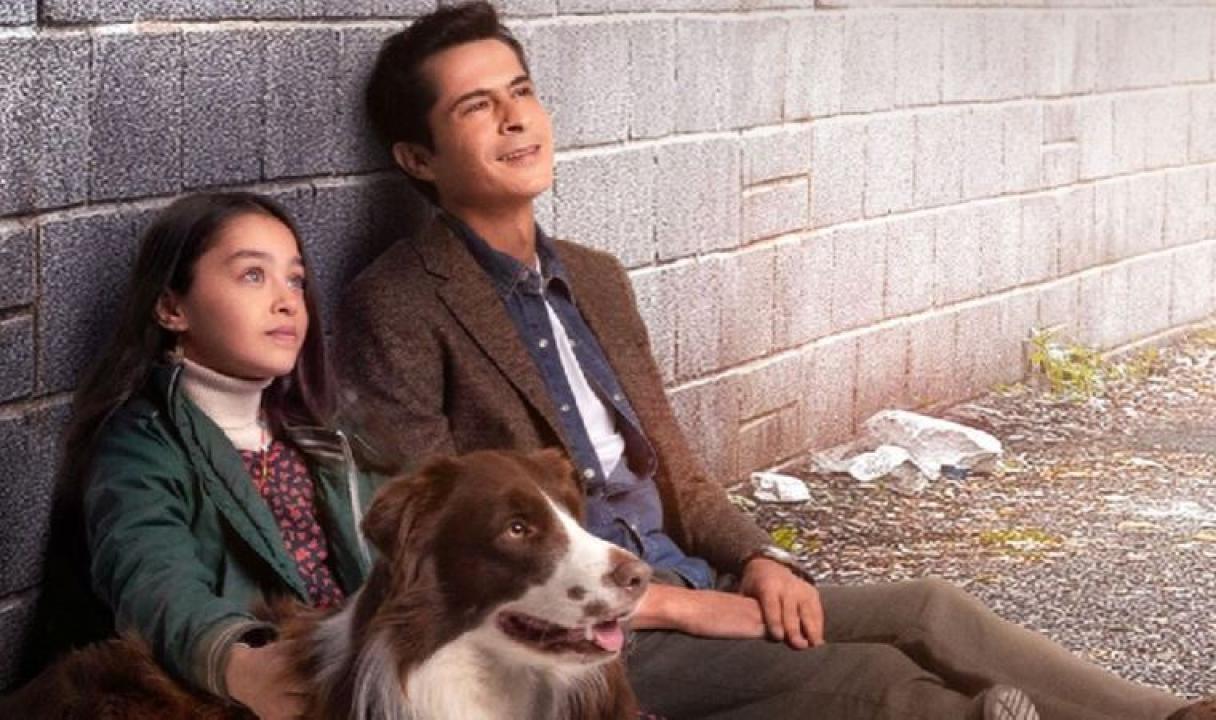 شاهد مسلسل اميرة بلا تاج الحلقة 3 مترجمة للعربية HD